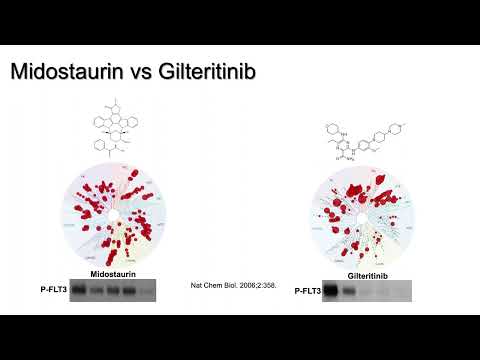 Management of Relapsed Refractory FLT3 AML - Dr. Ayman Hejazi (June 3-4, 2022)