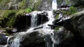 preview picture of video 'Dark Hollow Falls In Shenandoah National Park'