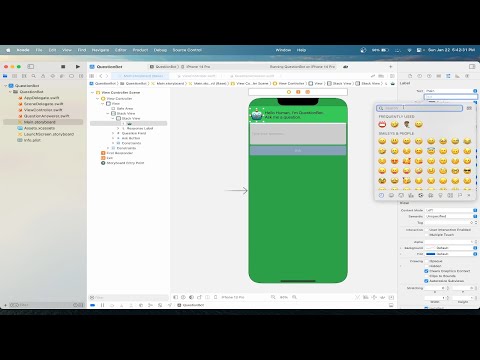 Chat Bot in Swift 5 | View Controller Logic | QuestionBot App in Xcode