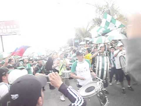 "BOGOTA VERDOLAGA" Barra: Los del Sur &bull; Club: Atlético Nacional