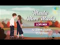 3 Minutes Of Soothing Music Maula Mere Maula Silent Ocean Dj Shireen Lofi Slowed Reverb