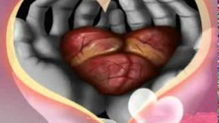 CAMILO SESTO - EN TUS MANOS.