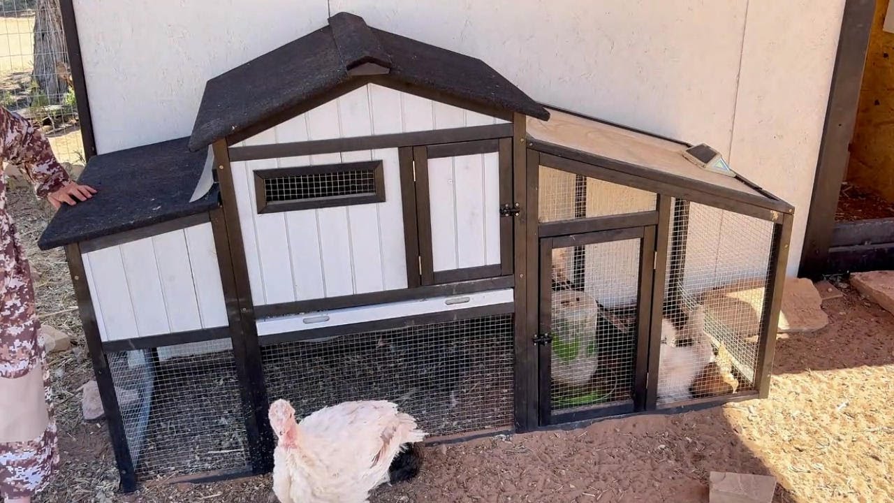 65L Wooden Chicken Coop with Run UV Panel - Product Demonstration Video