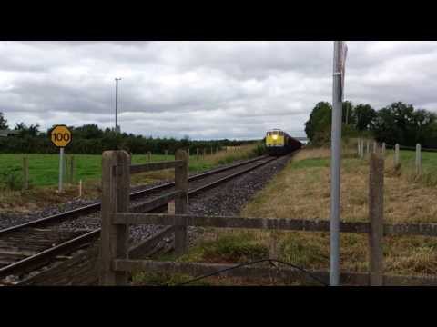 Iarnród Éireann's GM 071 Class #074 hauling timber!