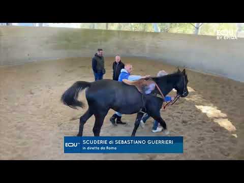 LE DIRETTE: LA SCUDERIA GUERRIERI-CASCIONE