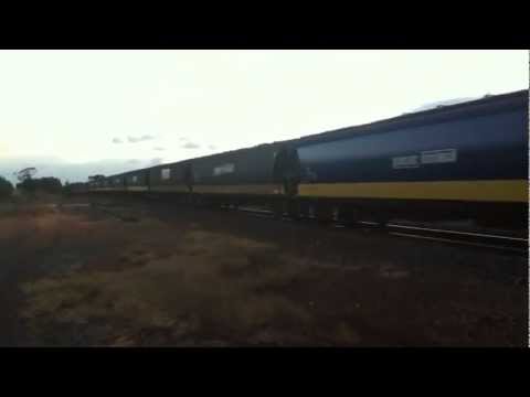 Pacific National Grain train near Hamilton