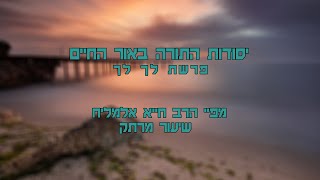 הרב חייא אלמליח פרשת השבוע לך לך שיעור מרתק על האור החיים | שידור חי #foryou #פרשתהשבוע #shorts (הרב מיכאל לסרי) - התמונה מוצגת ישירות מתוך אתר האינטרנט יוטיוב. זכויות היוצרים בתמונה שייכות ליוצרה. קישור קרדיט למקור התוכן נמצא בתוך דף הסרטון הרב חייא אלמליח פרשת השבוע לך לך שיעור מרתק על האור החיים | שידור חי #foryou #פרשתהשבוע #shorts (הרב מיכאל לסרי) - התמונה מוצגת ישירות מתוך אתר האינטרנט יוטיוב. זכויות היוצרים בתמונה שייכות ליוצרה. קישור קרדיט למקור התוכן נמצא בתוך דף הסרטון