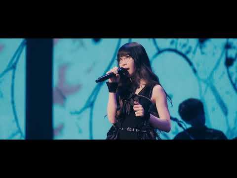 Aimer - Ivy Ivy Ivy "10th Anniversary Final "Cycle de 10 ans" LIVE