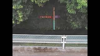 矢川橋映像監視局