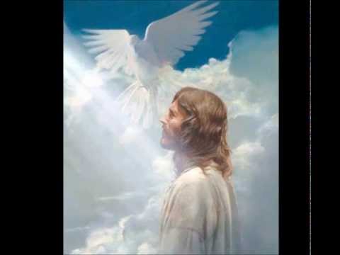 KO SI'ETAU MO'UI KOE FU'U VAHANOA.