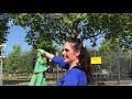 Buikdanseres Charlotte Barton en creatief leider Rajiv Bhagwanbali freestylen op het Afrikaanderp...