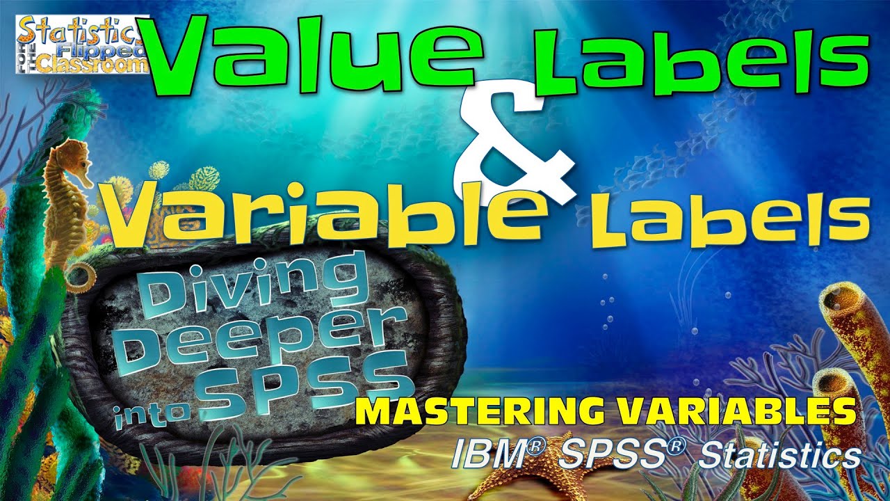 Creating Variable Labels and Value Labels in SPSS: Mastering Variables