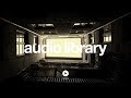 Danse Of Questionable Tuning Kevin MacLeod No Copyright Music
