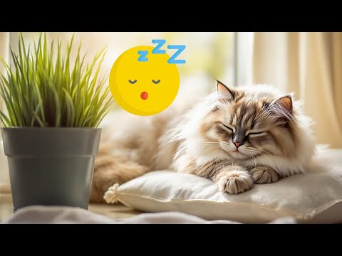 Highly Healing Music to HEAL SICK Cats - HEALING Music for SICK Cats