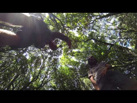 Dadda wuanche & Ferni Khan - "¿Cuál es el futuro?"- 2015.