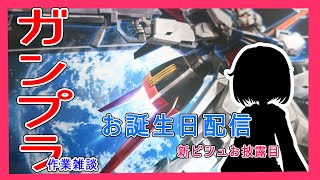 【ガンプラ配信】活動７周年！！お誕生日配信