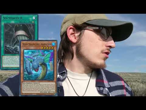 Umi Control vs Umi Stun