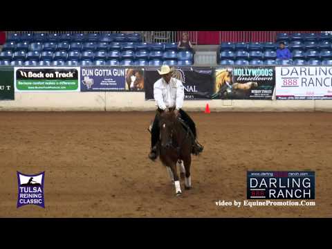 Xtra Taris Voodoo ridden by Thiago Boechat  - 2015 Tulsa Reining Classic (Developing Horse Futurity)
