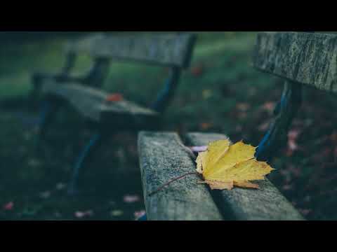 Martian feat  Danny Claire   Everything