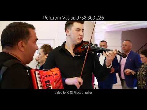 Policrom din Vaslui - Muzica de Petrecere 2018