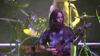 Neglected Fields - Spectator