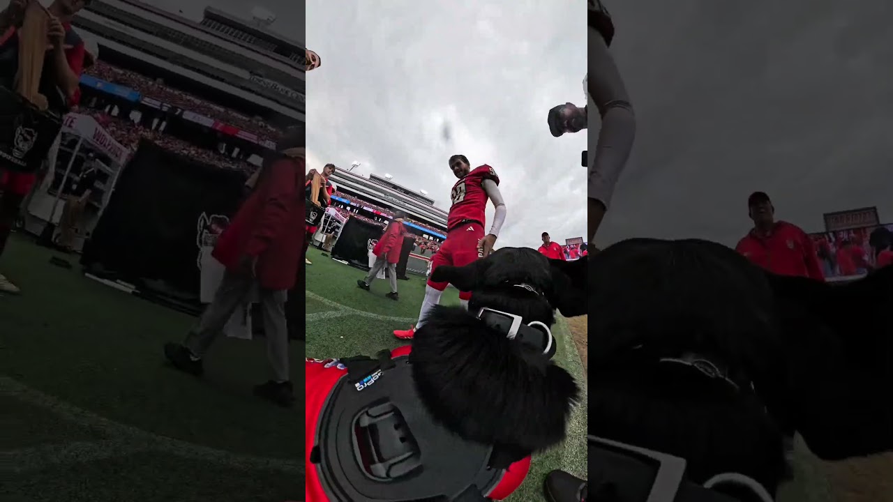 Touchdowns and Highlights that’s what I do!