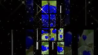 &quot;No Volveré&quot;