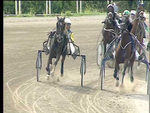 Trotto 22/06/2017 - 2ª corsa