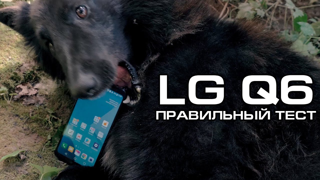 Смартфон LG (M700AN) Q6 Black Gold