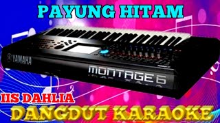 Download lagu PAYUNG HITAM Karaoke Dangdut Iis Dahlia... mp3