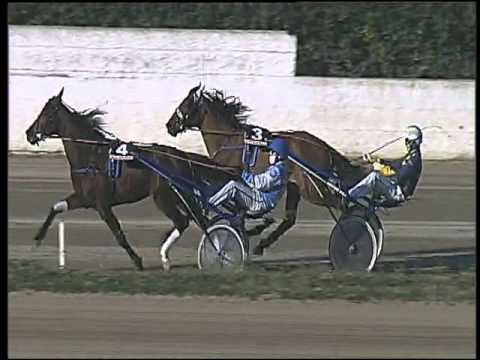 Trotto 05/02/2016 - 2° corsa