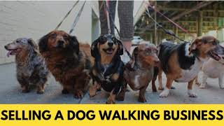Selling a Dog Walking Business - How To Sell It & How Much Money Can You Expect?