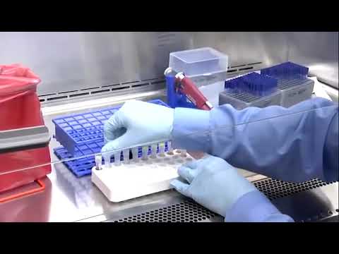 Xəstəliklərə qarşı ən davamlı qan qrupu