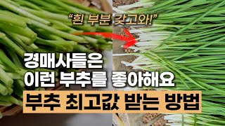 좋은 부추 고르는 법 | 경매장에서 부추 최고 가격 받는 방법