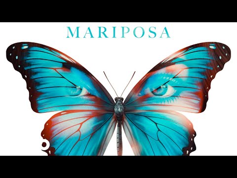 Haquil, Barbel - Mariposa (Official Audio) ft. Bvlgarich