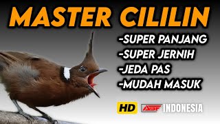 Download lagu Jernih poool !! MASTERAN CILILIN PANJANG SUPER JERNIH‼️ mp3 Download lagu Jernih poool !! MASTERAN CILILIN PANJANG SUPER JERNIH‼️ mp3