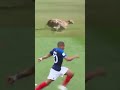 Mbappe Running speed !! Cheetah vs mabappe #viralshorts #mbappe