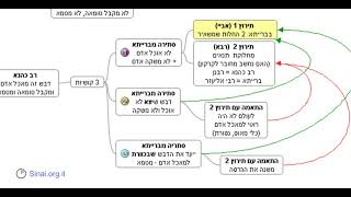 דף יומי מסכת בבא בתרא דף פ - שיעור קצר וברור במיוחד בליווי תרשים (שיעורי הדף היומי בקצרה מאת הרב אורי בריליאנט) - התמונה מוצגת ישירות מתוך אתר האינטרנט יוטיוב. זכויות היוצרים בתמונה שייכות ליוצרה. קישור קרדיט למקור התוכן נמצא בתוך דף הסרטון