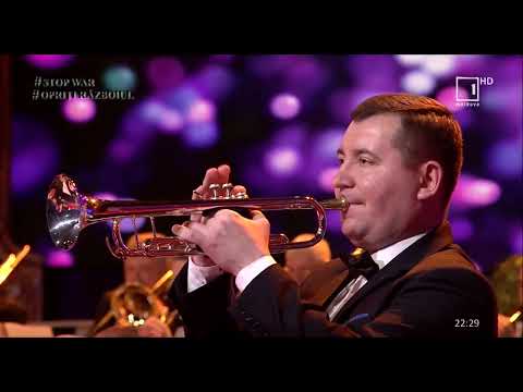 Tudor CHIRIAC  - Ritual de vindecare