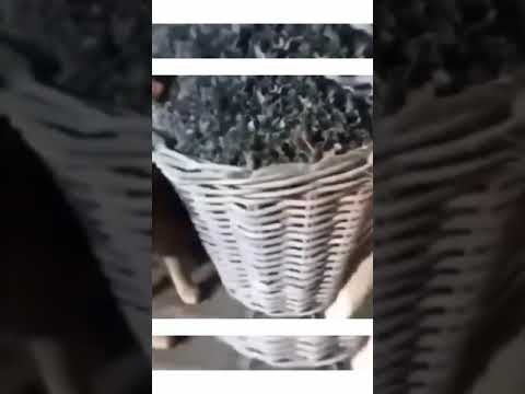 cat fight slow motion