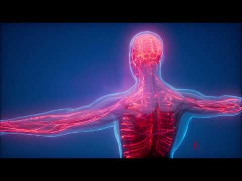 Herbal Ayurvedic Powder