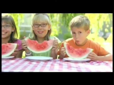 EFSA explains risk assessment of food and feed risk