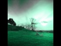 Wall in Your Heart - Shelby Lynne 