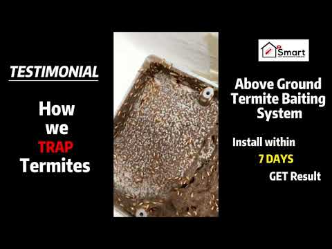 Testimonial Above Ground Termite Baiting System 