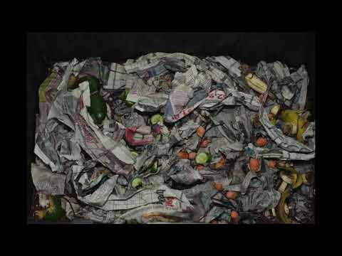 Vermicomposting timelapse