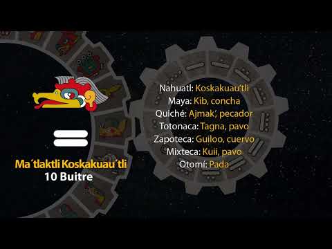 El tonal de hoy es "10 Buitre - Ma´tlaktli Koskakuau´tli" 15/10/25