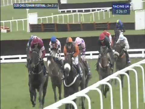 Cheltenham Festival 2013 - Betfred Cheltenham Gold Cup Chase - Bobs Worth