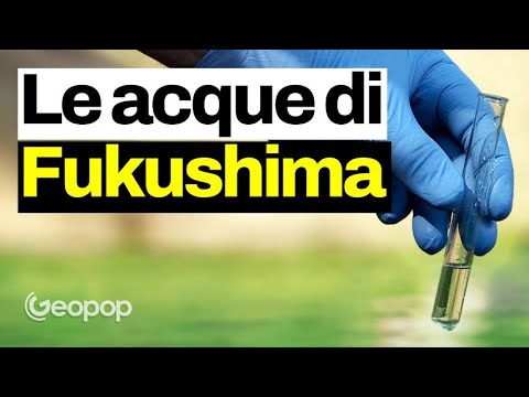 È iniziato lo sversamento in mare dell'acqua di Fukushima: è davvero radioattiva? Facciamo chiarezza