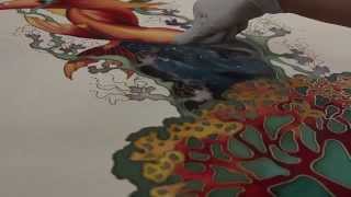 Silk Painting Barbara Woods Video