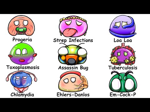 Every LETHAL Infection Explained in 55 Minutes